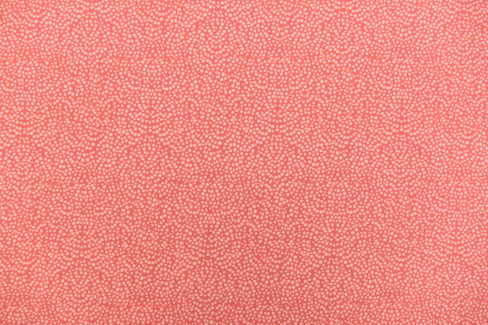 Cotton Broadcloth Print0