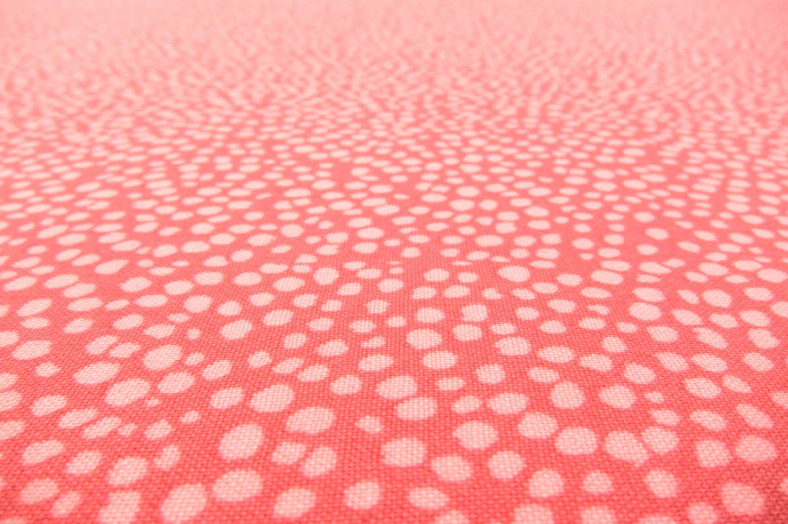 Cotton Broadcloth Print2