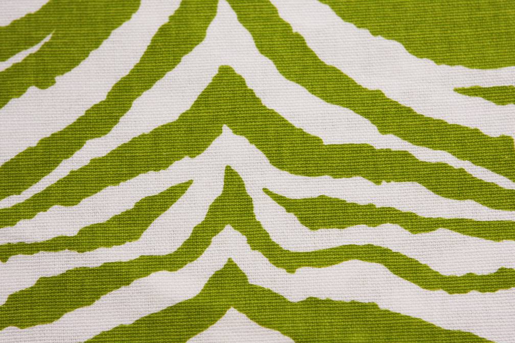 Printed Cotton Canvas2