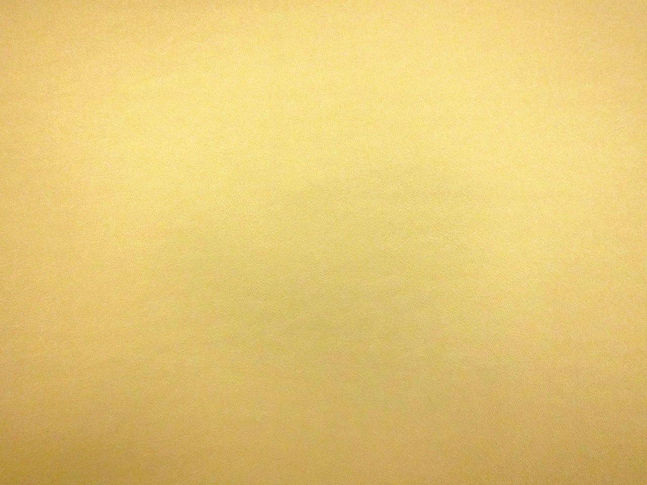 Metallic Faux Leather0