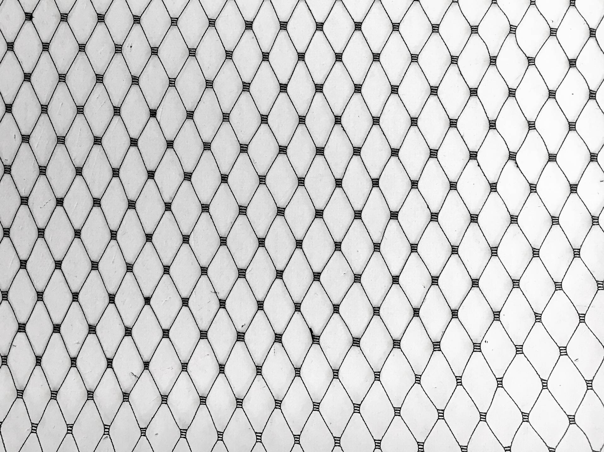 Birdcage Net in Black3