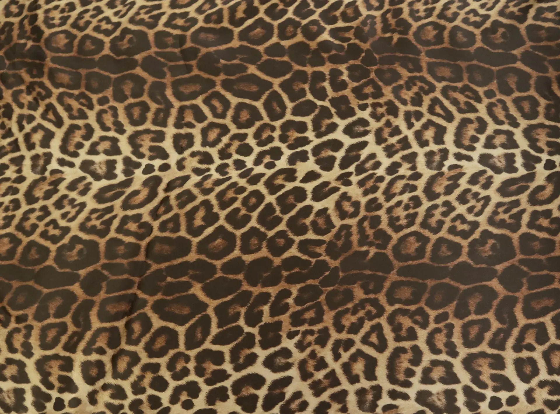 Printed Silk Organza with Animal Print