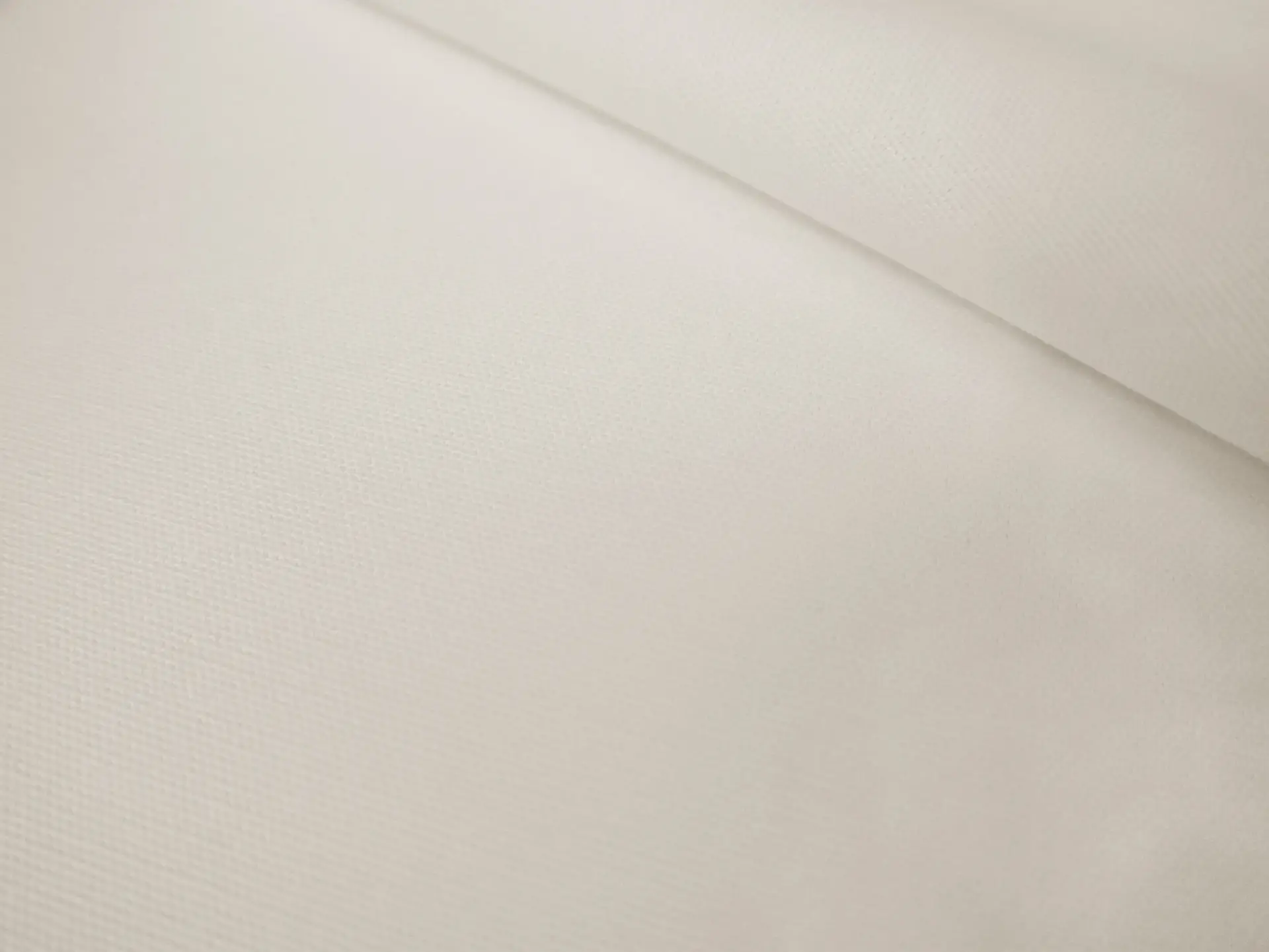 Washed Cotton Canvas in White