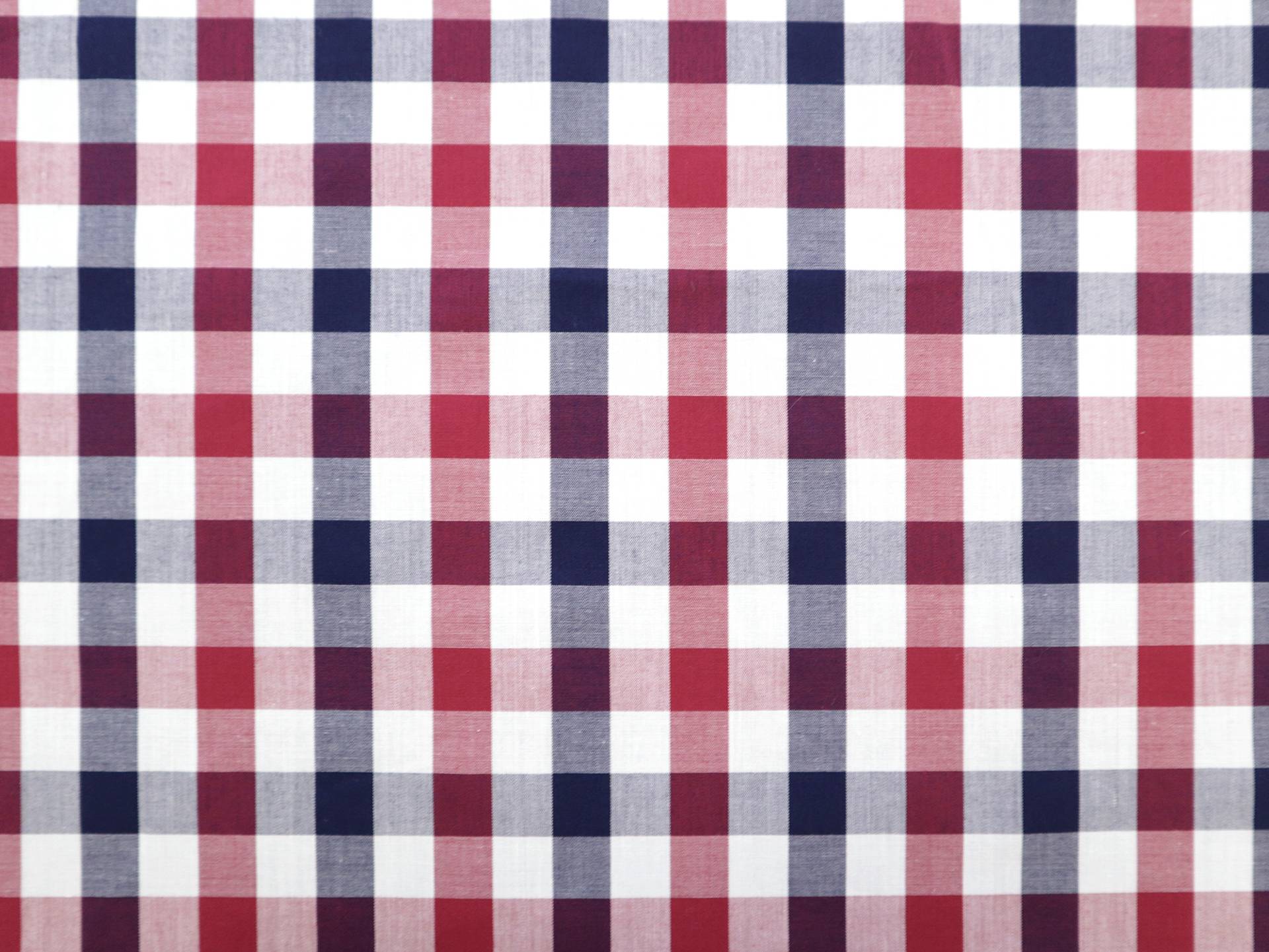 Cotton Gingham Shirting in Americana
