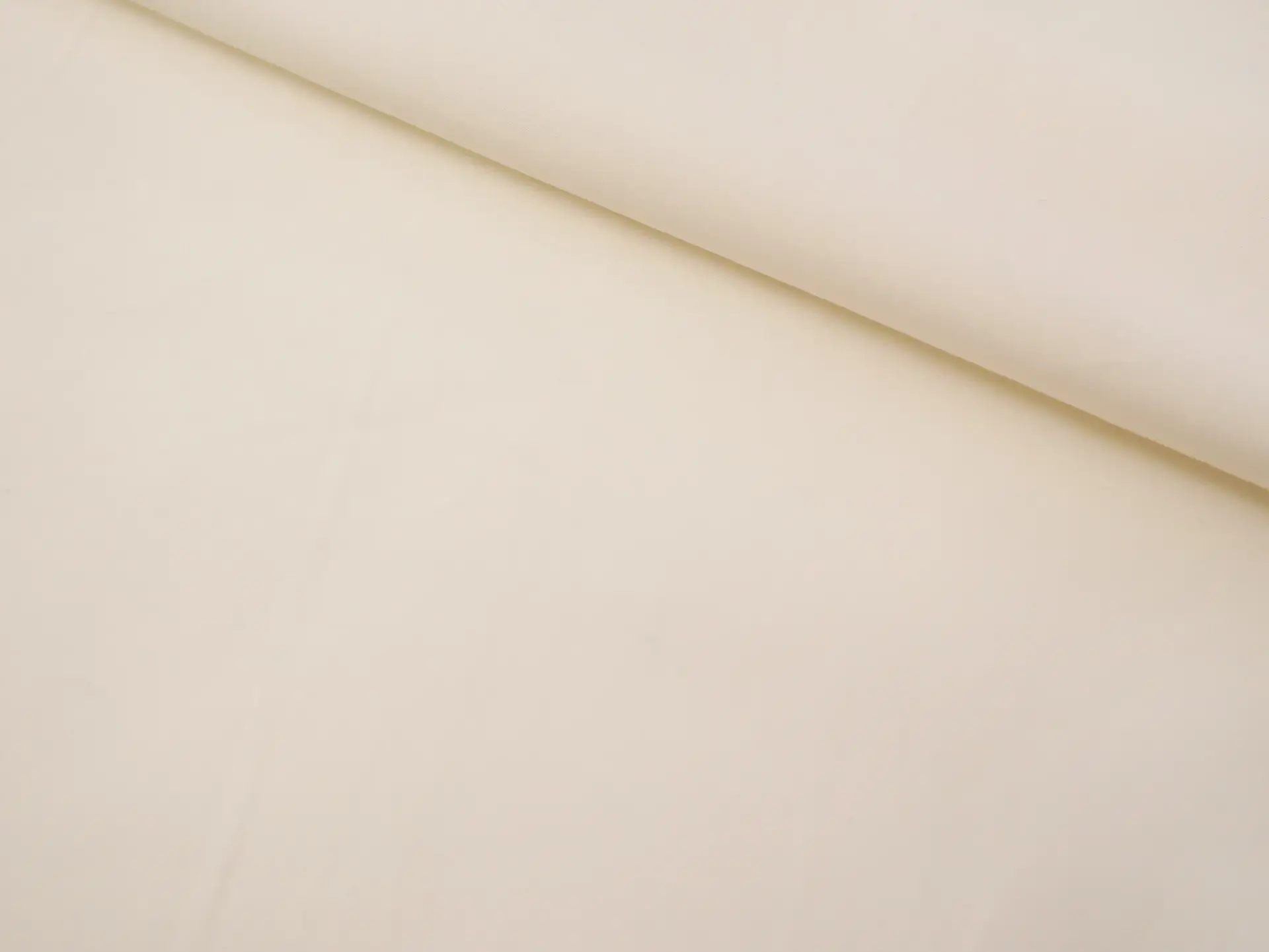 Sea Island Cotton Broadcloth in Ecru