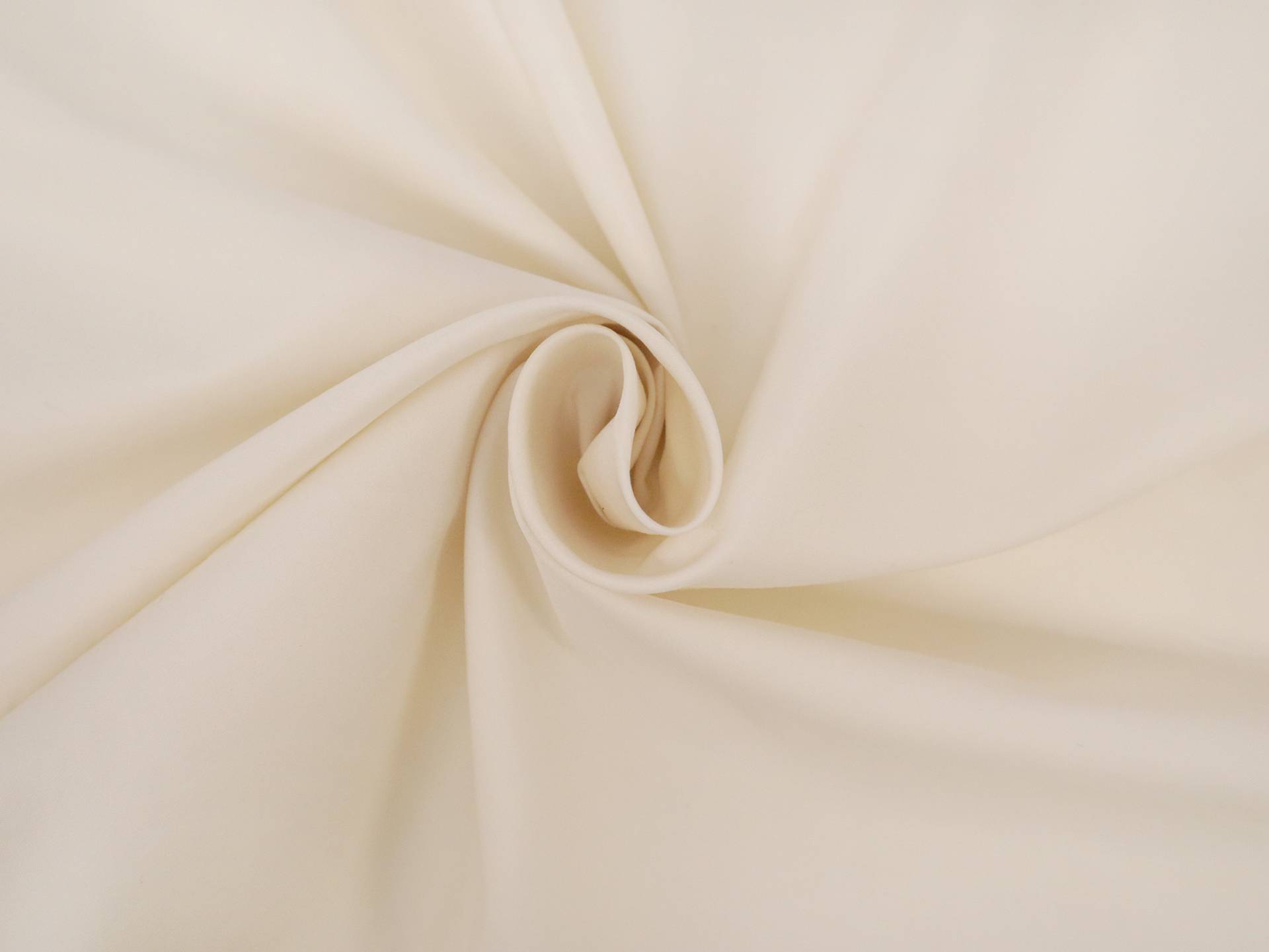 Sea Island Cotton Broadcloth in Ecru