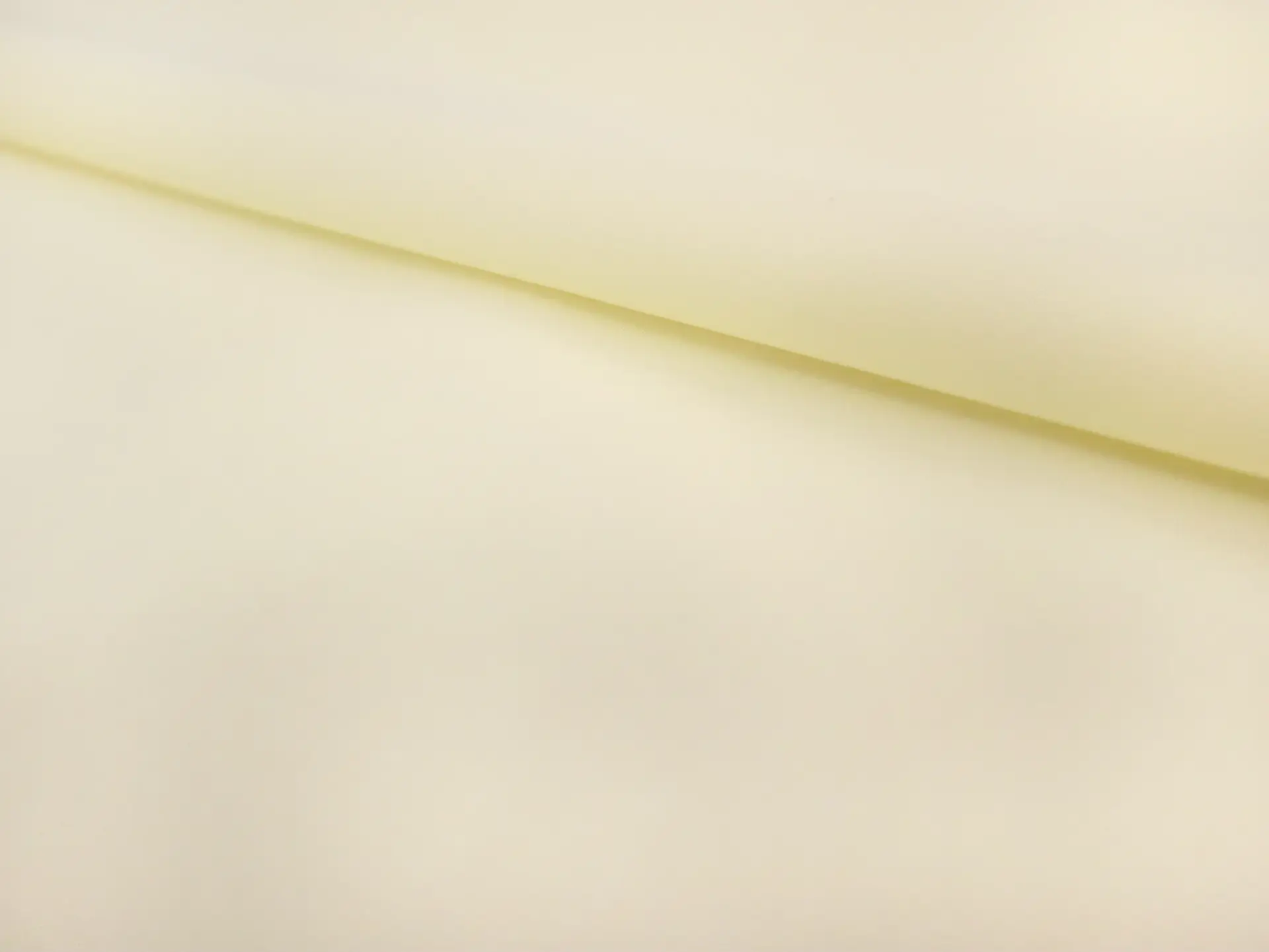 Cotton Broadcloth in Maize