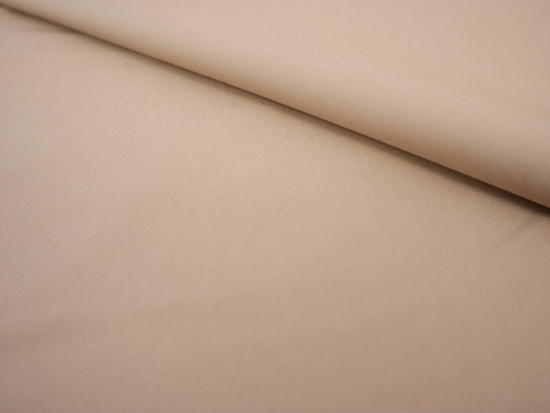 Cotton Poplin in Eggshell