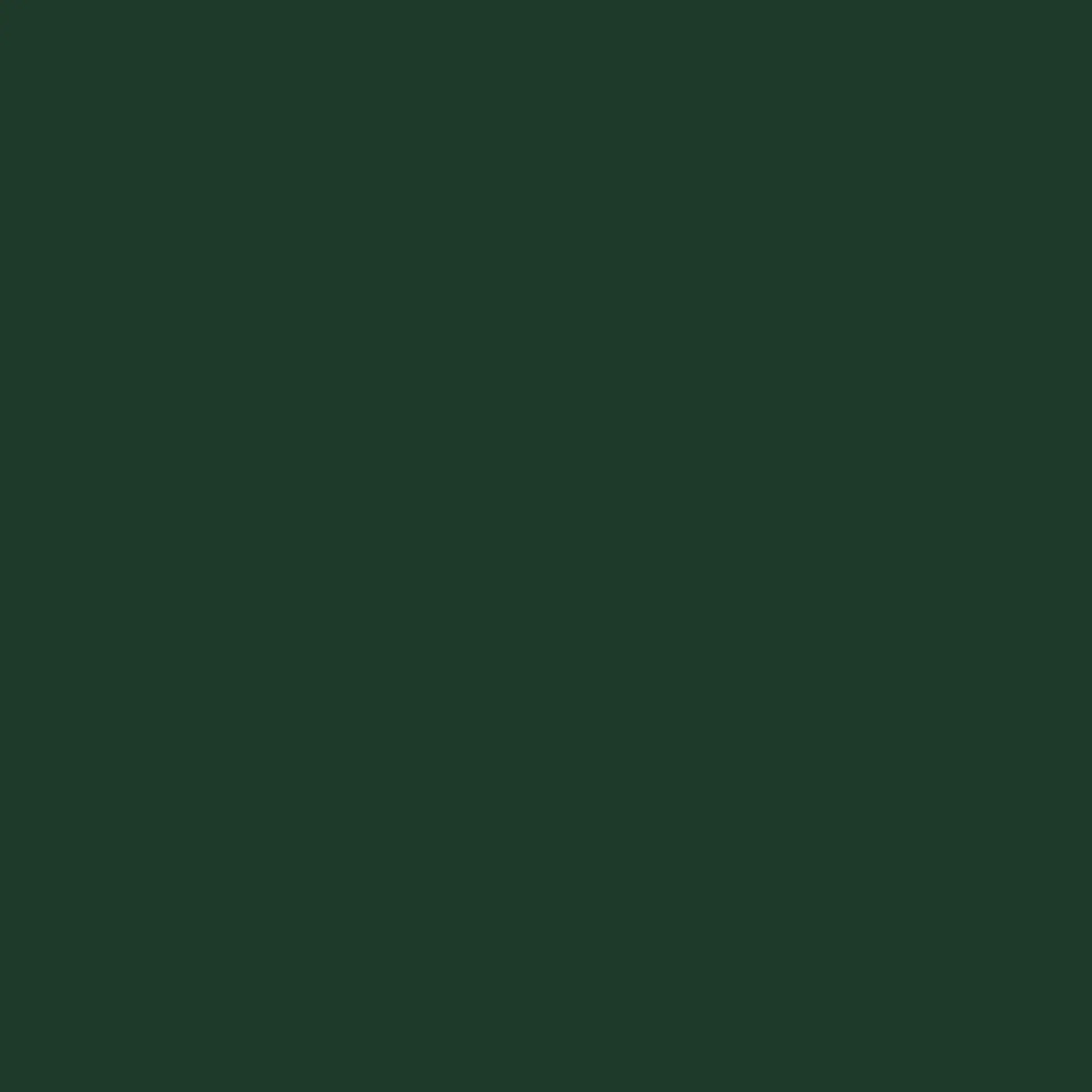 Stretch Silk Chiffon in Pine (92% Silk/8% Lycra - 10 momme)
