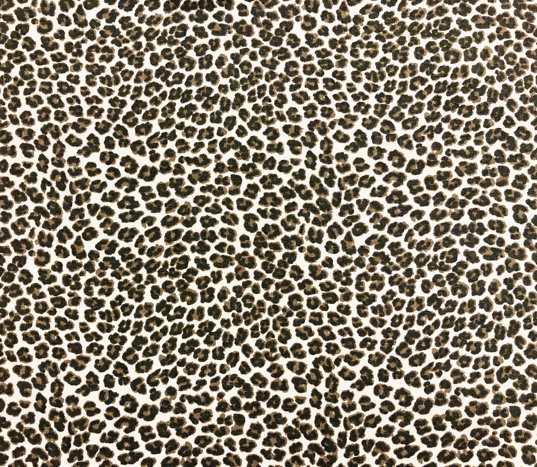 Small Leopard1