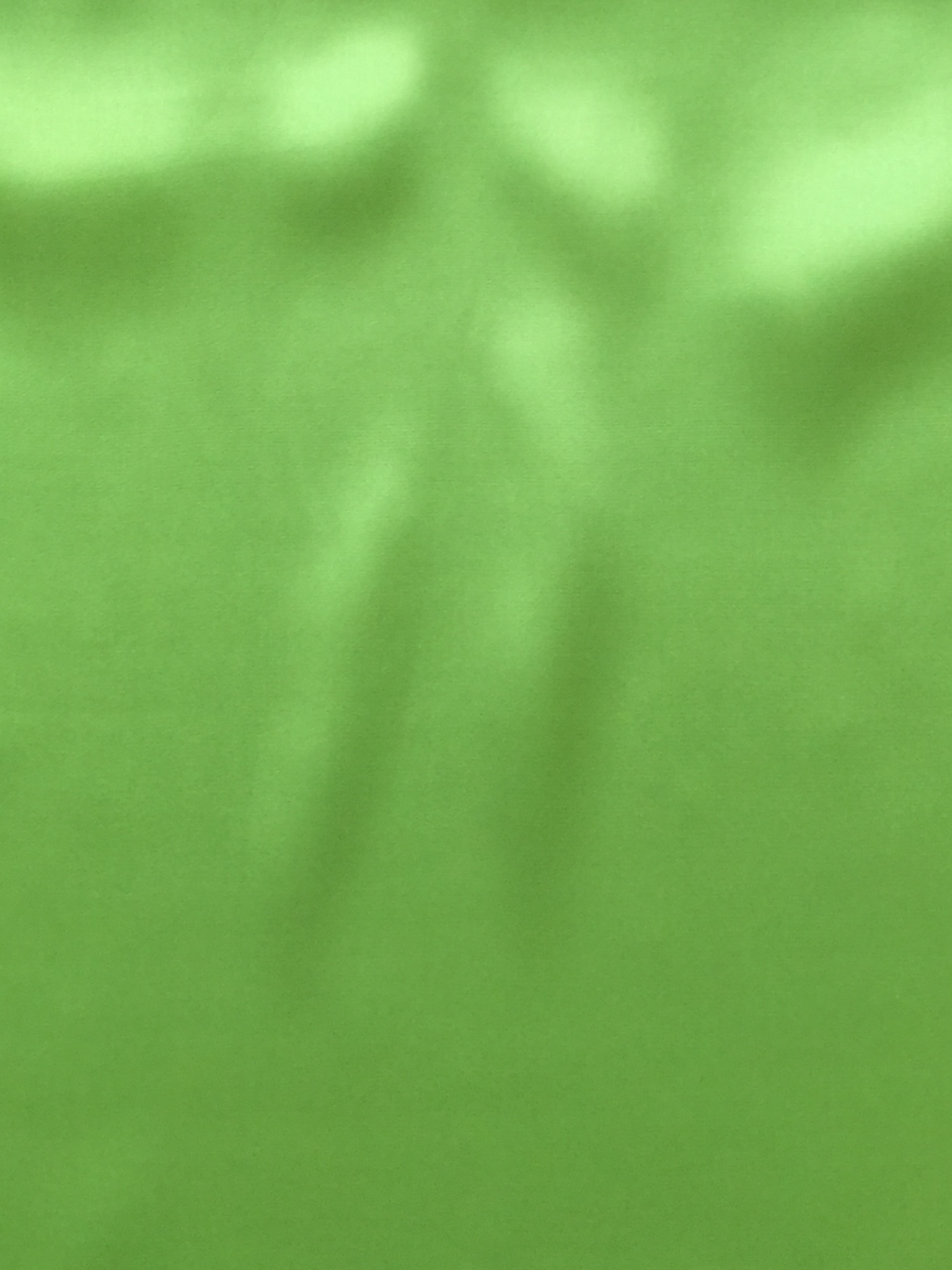 Silk Charmeuse