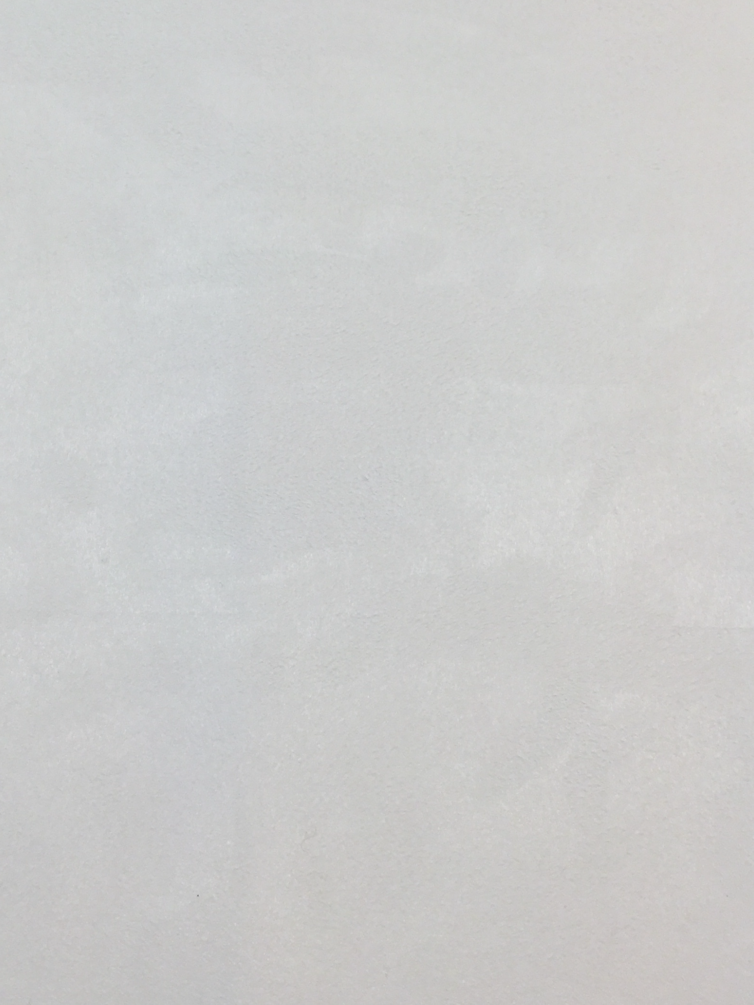 Faux Suede in Optic White