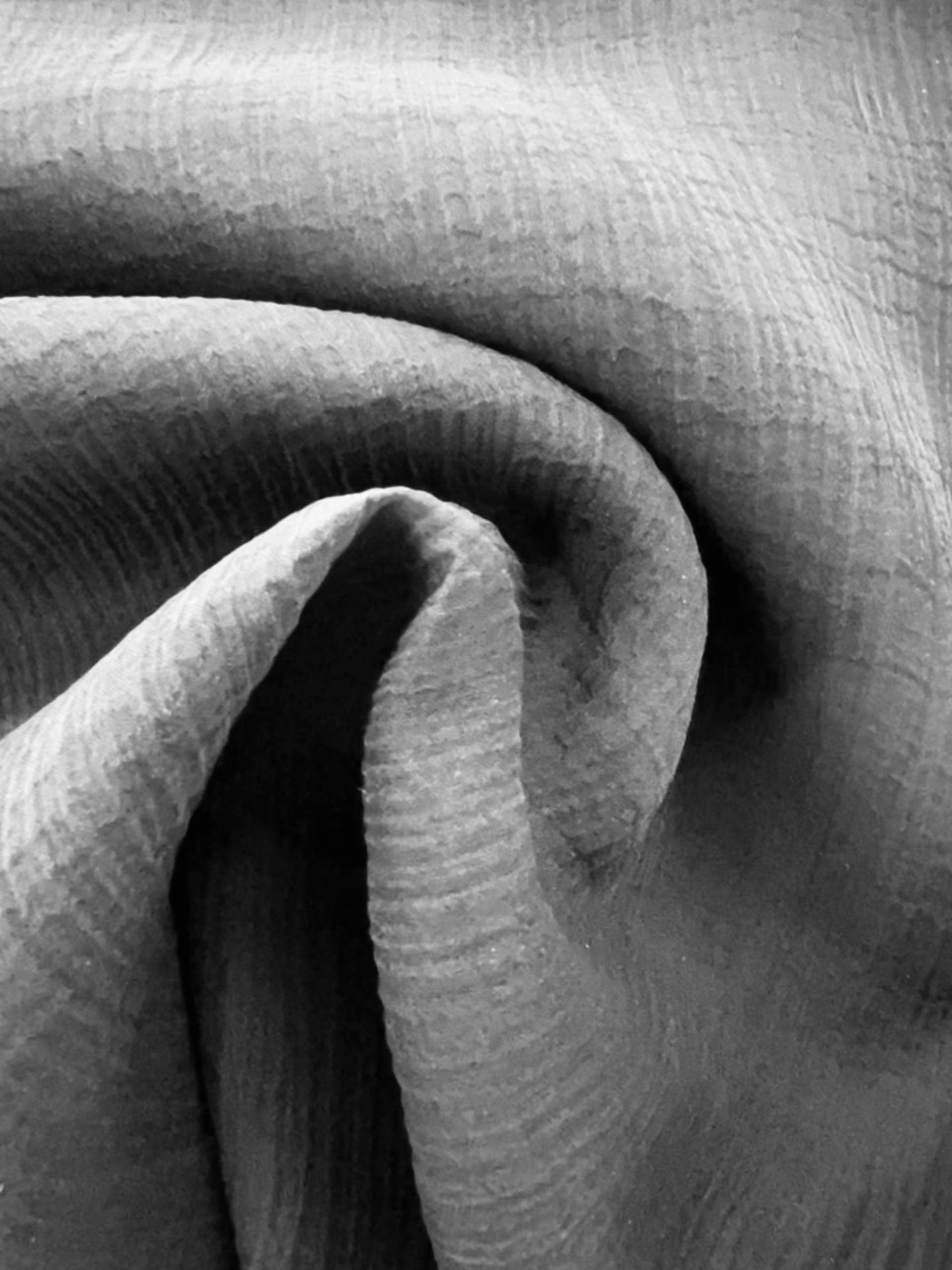 Crinkled Silk Organza in Black