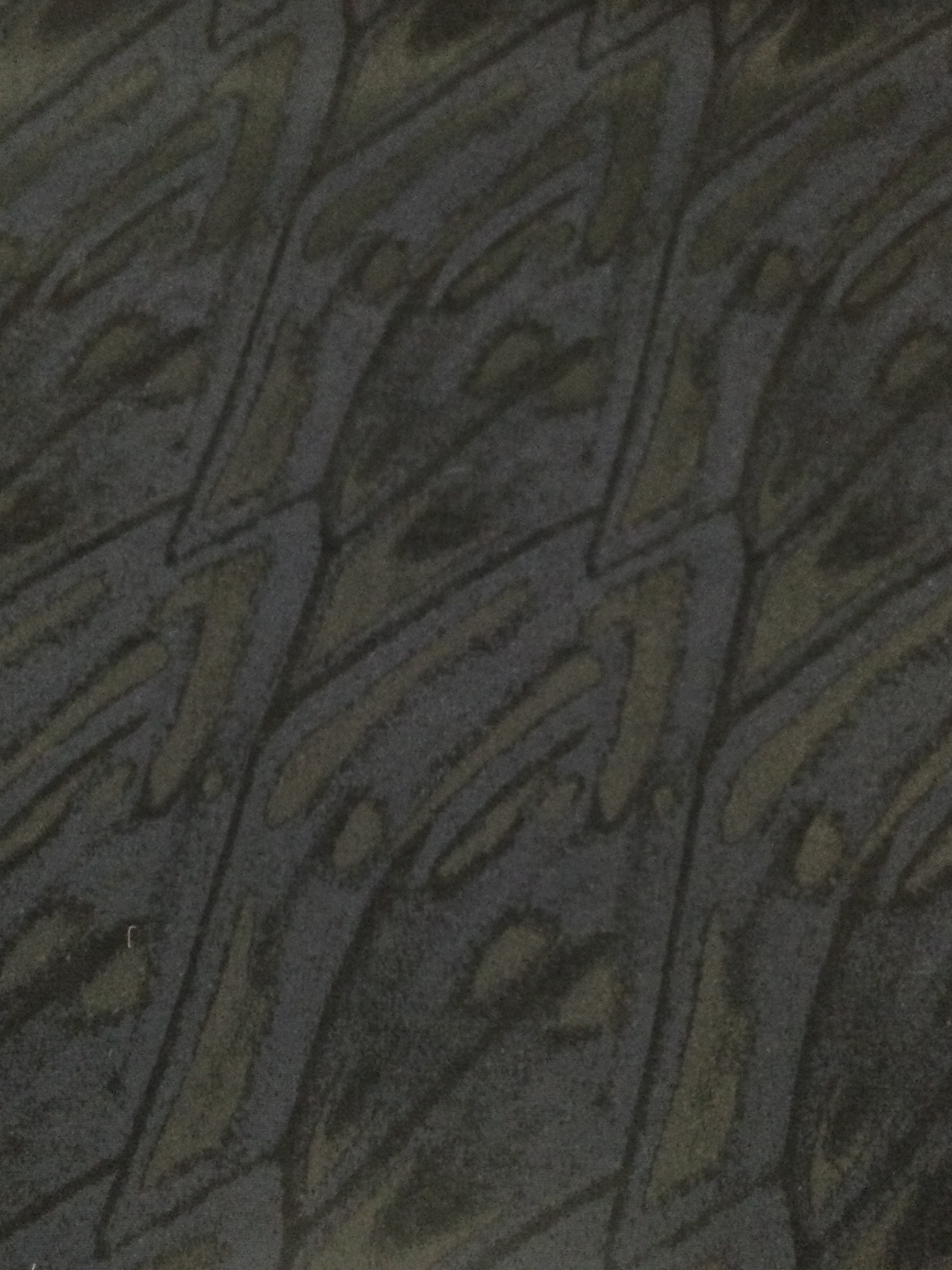 Chenille Brocade