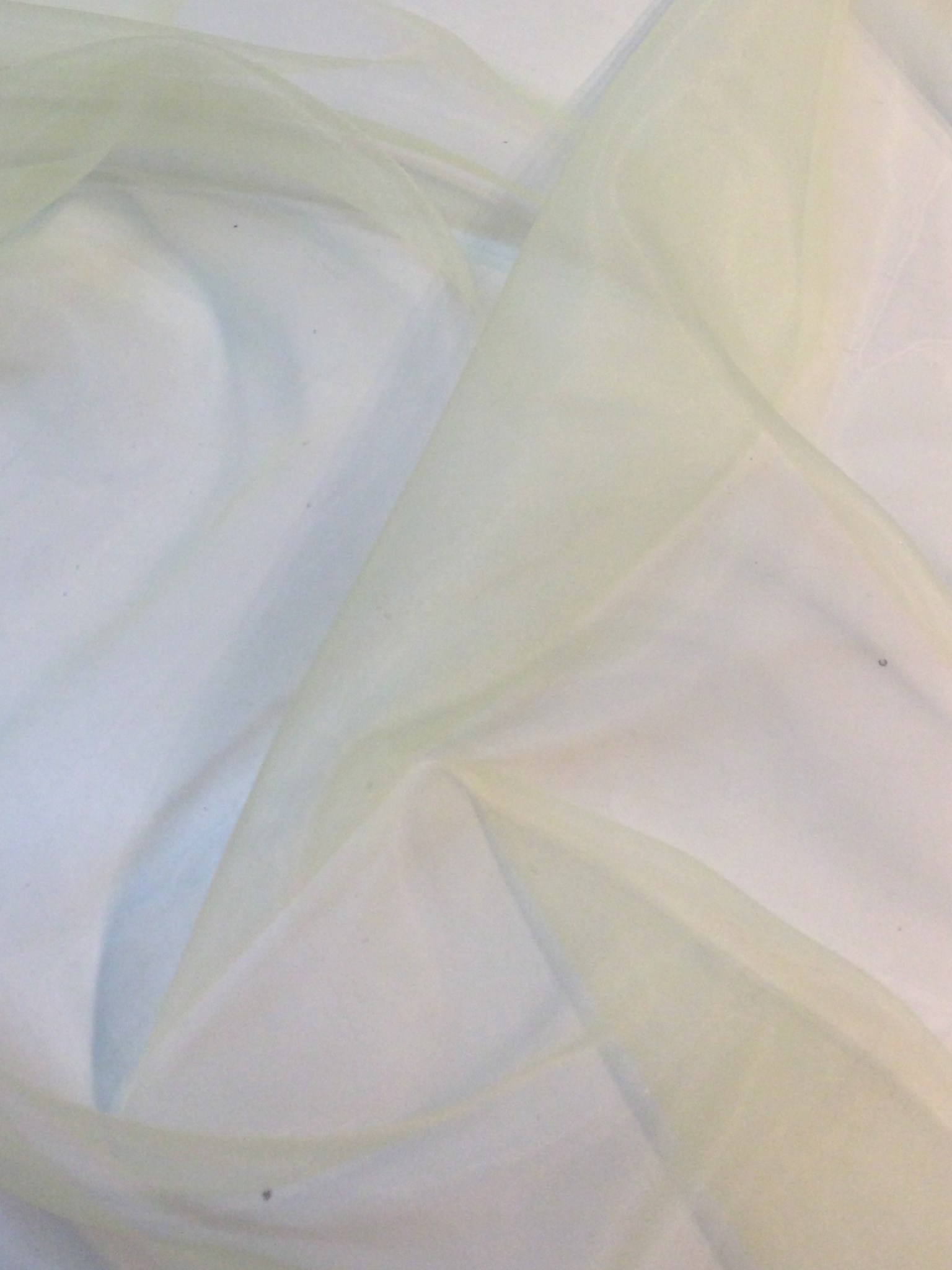 Polyester Organza  in Maize