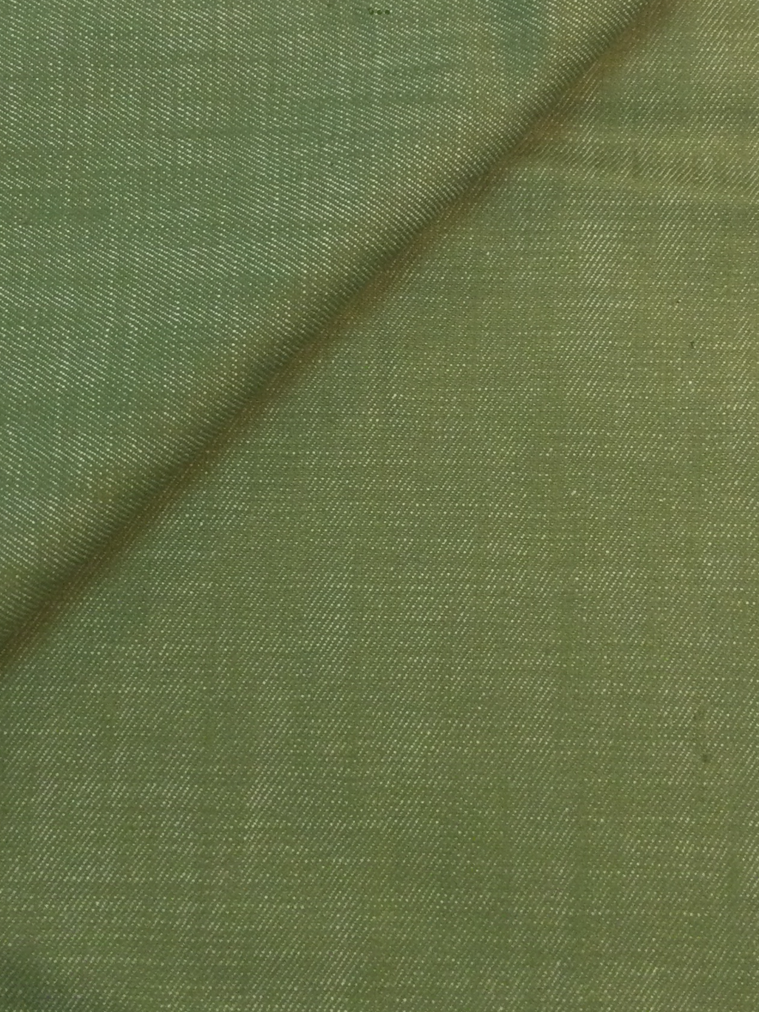 Cotton Denim in Olive