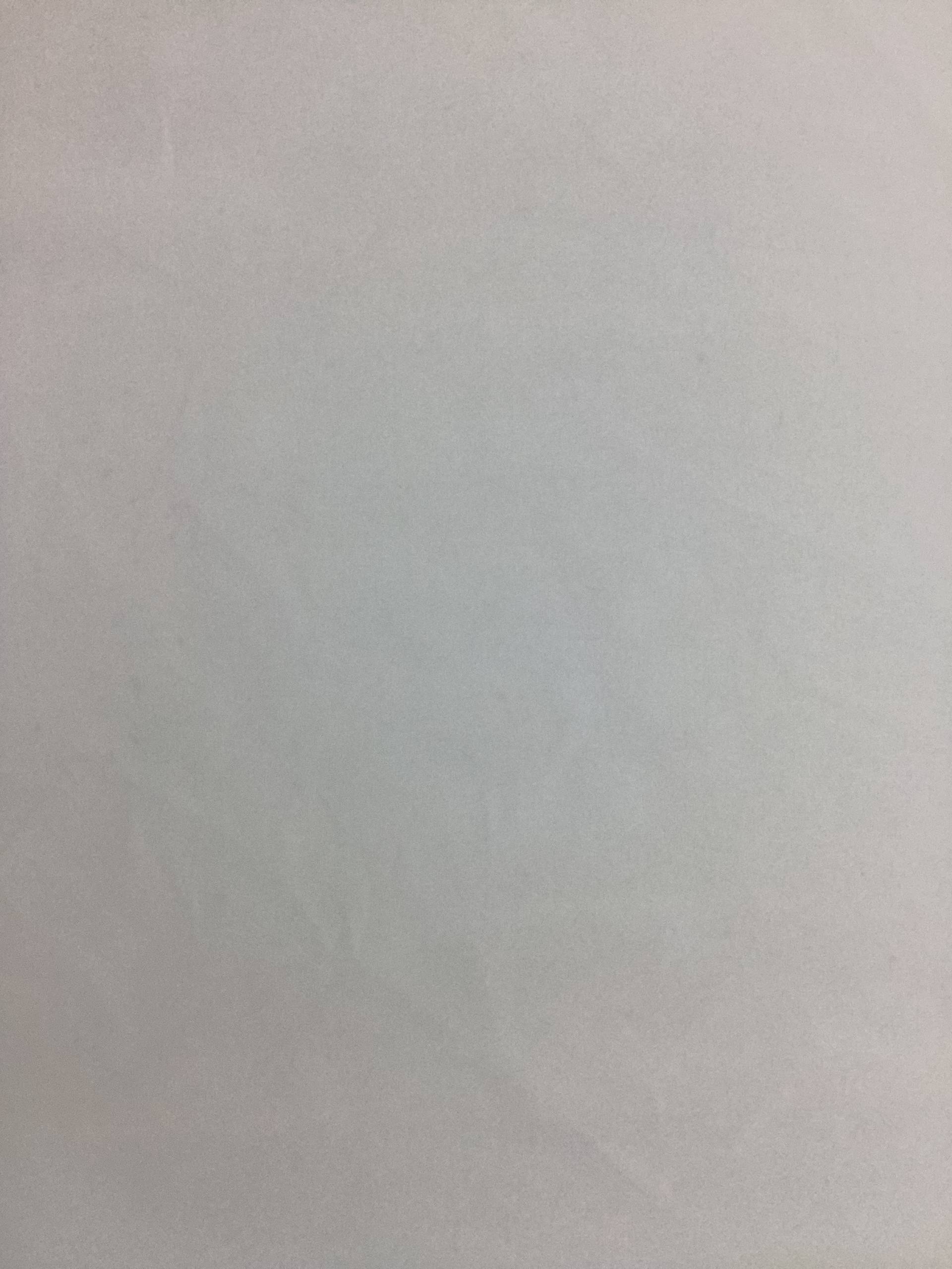 Polyester Satin Face Organza in Diamond White