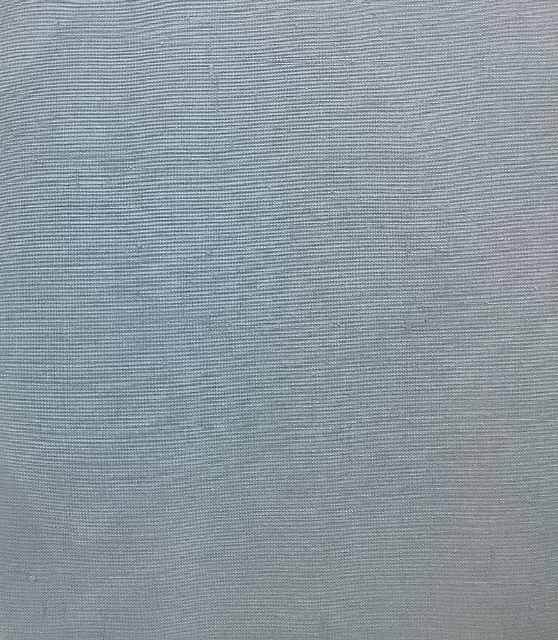 Made in Italy 100% Silk Duppioni in Sky