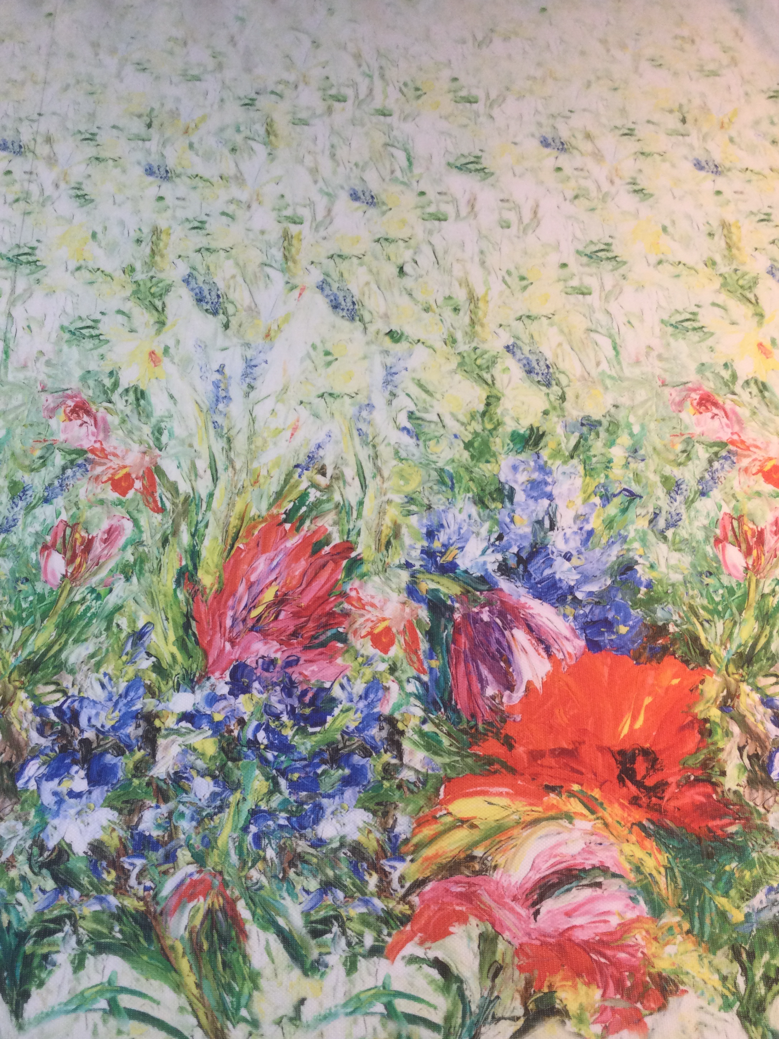 Printed Silk Gazar
