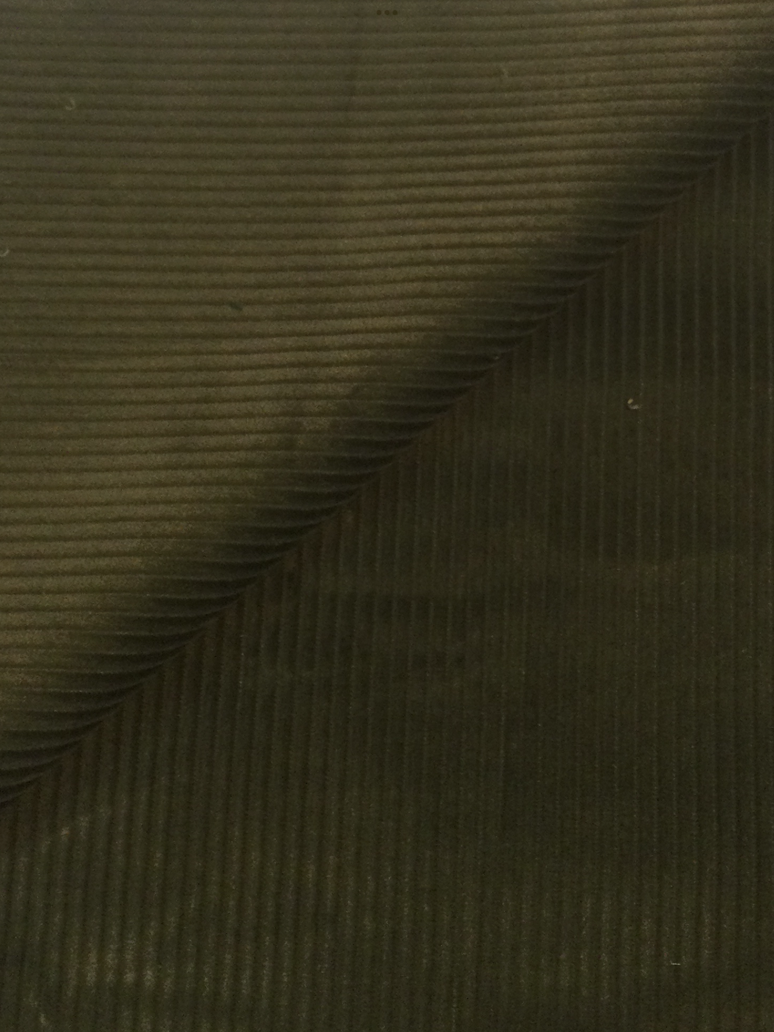 Made in Italy Cotton Corduroy 