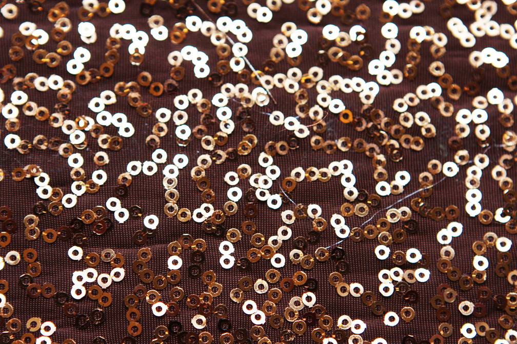 Sequined Jersey2