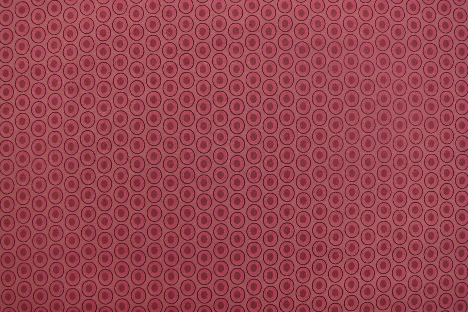 Cotton Broadcloth Print0