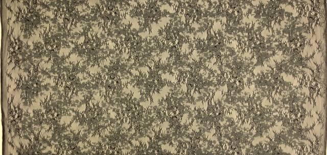 Embroidered Chantilly Lace3