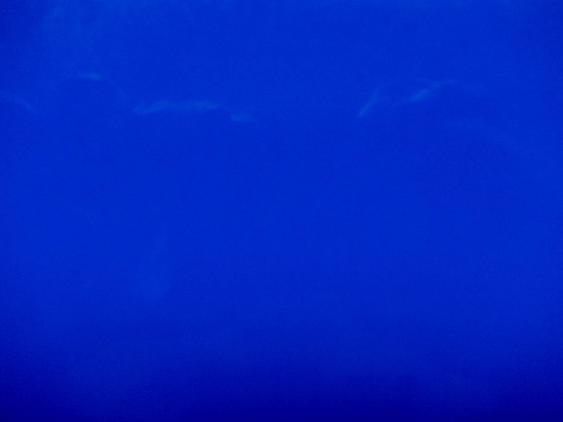 Upholstery Wetlook Vinyl in Blue0