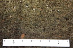 Brushed Platinum Cork1