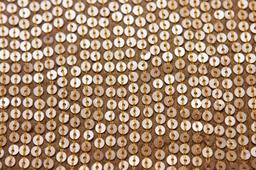 Sequins on Silk Chiffon3