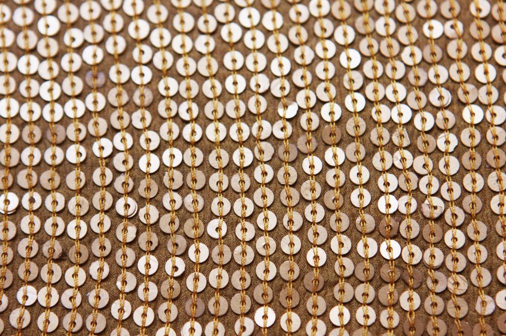 Sequins on Silk Chiffon3