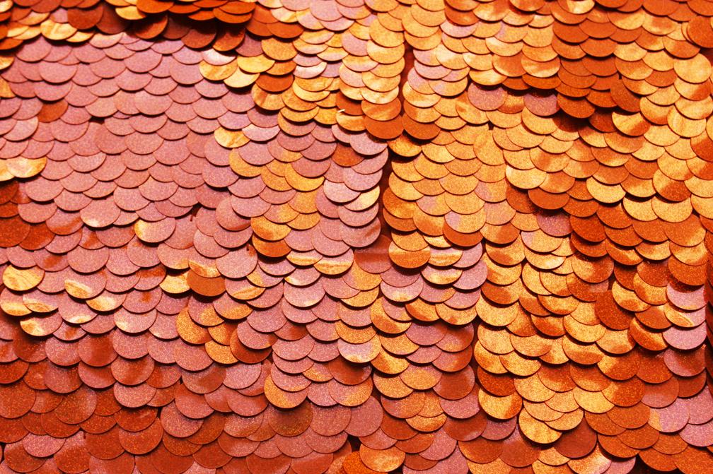 Pailettes on Silk Chiffon0