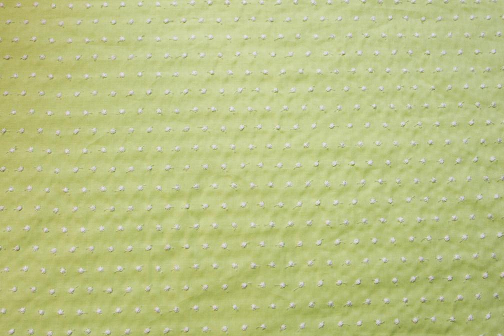 Cotton Embroidered Dots in Spring Bud0
