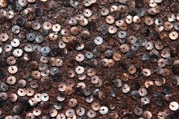 Sequins on Metallic Tulle2