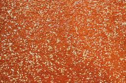 Sequins on Silk Chiffon0