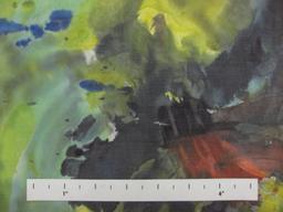 Printed Silk Chiffon1