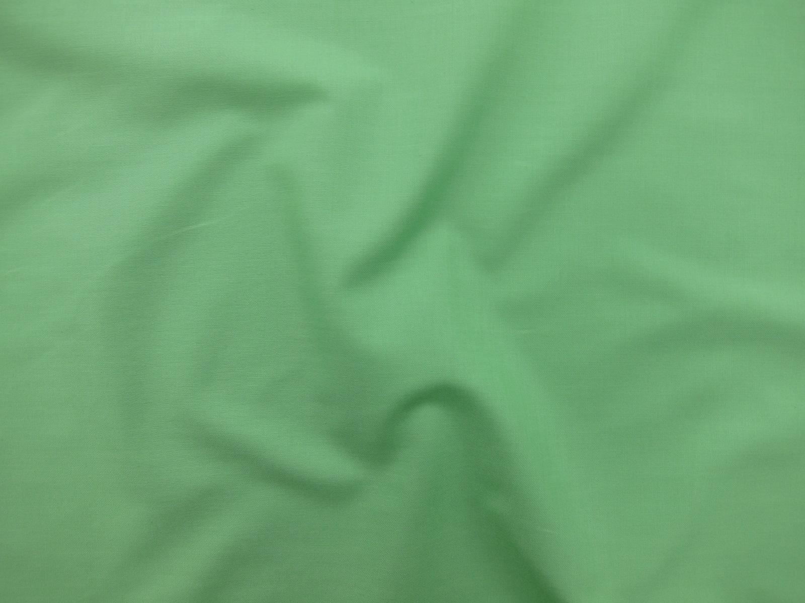 Kona Cotton in Asparagus0