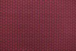 Cotton Broadcloth Print0