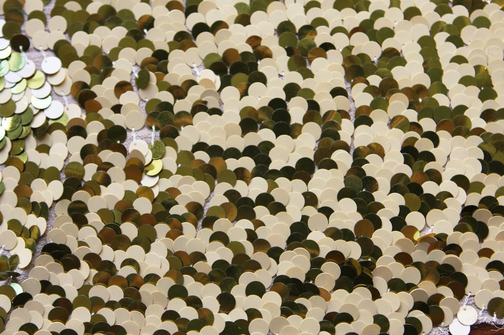 Paillettes on Silk Chiffon0