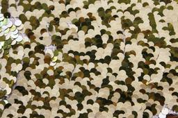 Paillettes on Silk Chiffon0