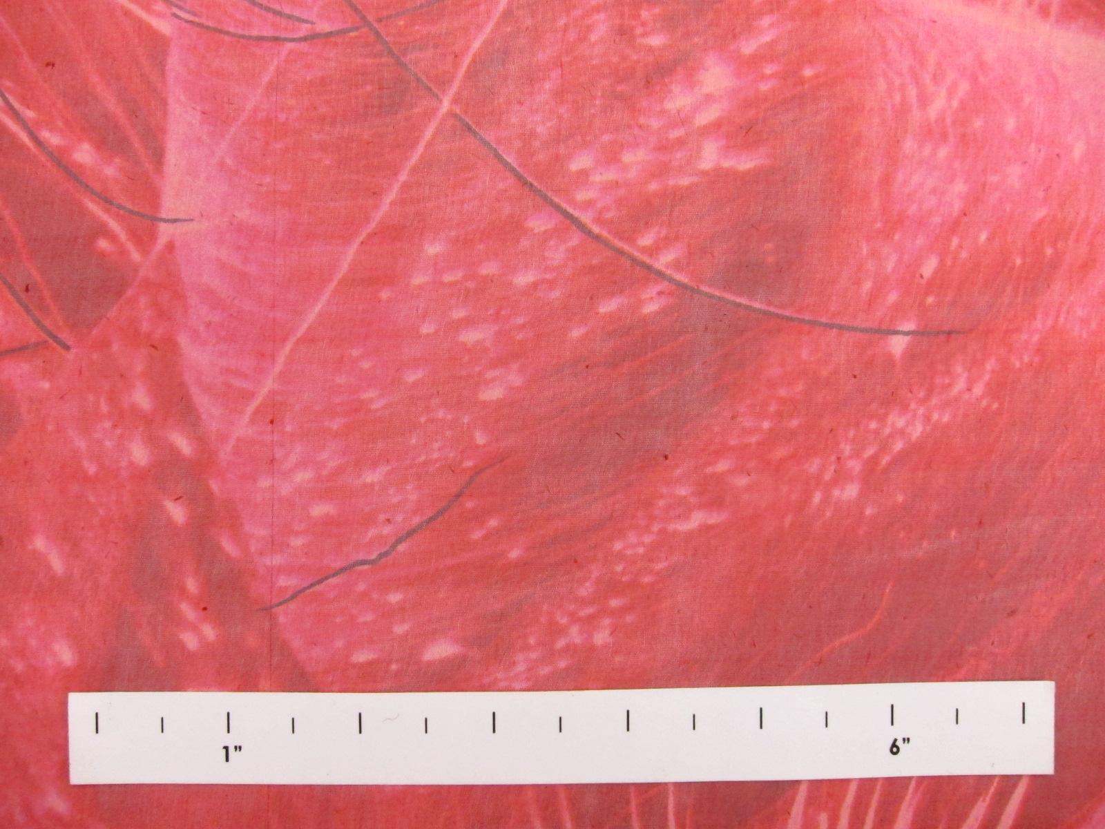 Printed Iridescent Silk Chiffon0