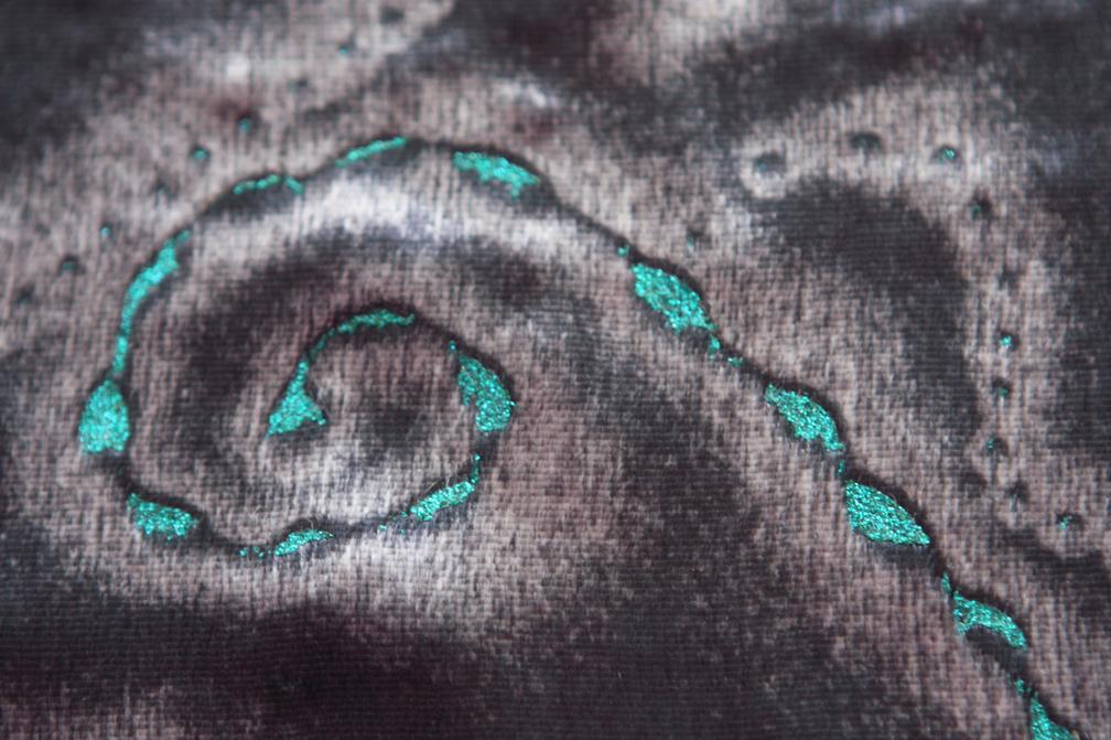 Sparkle Painted Panné Velvet4