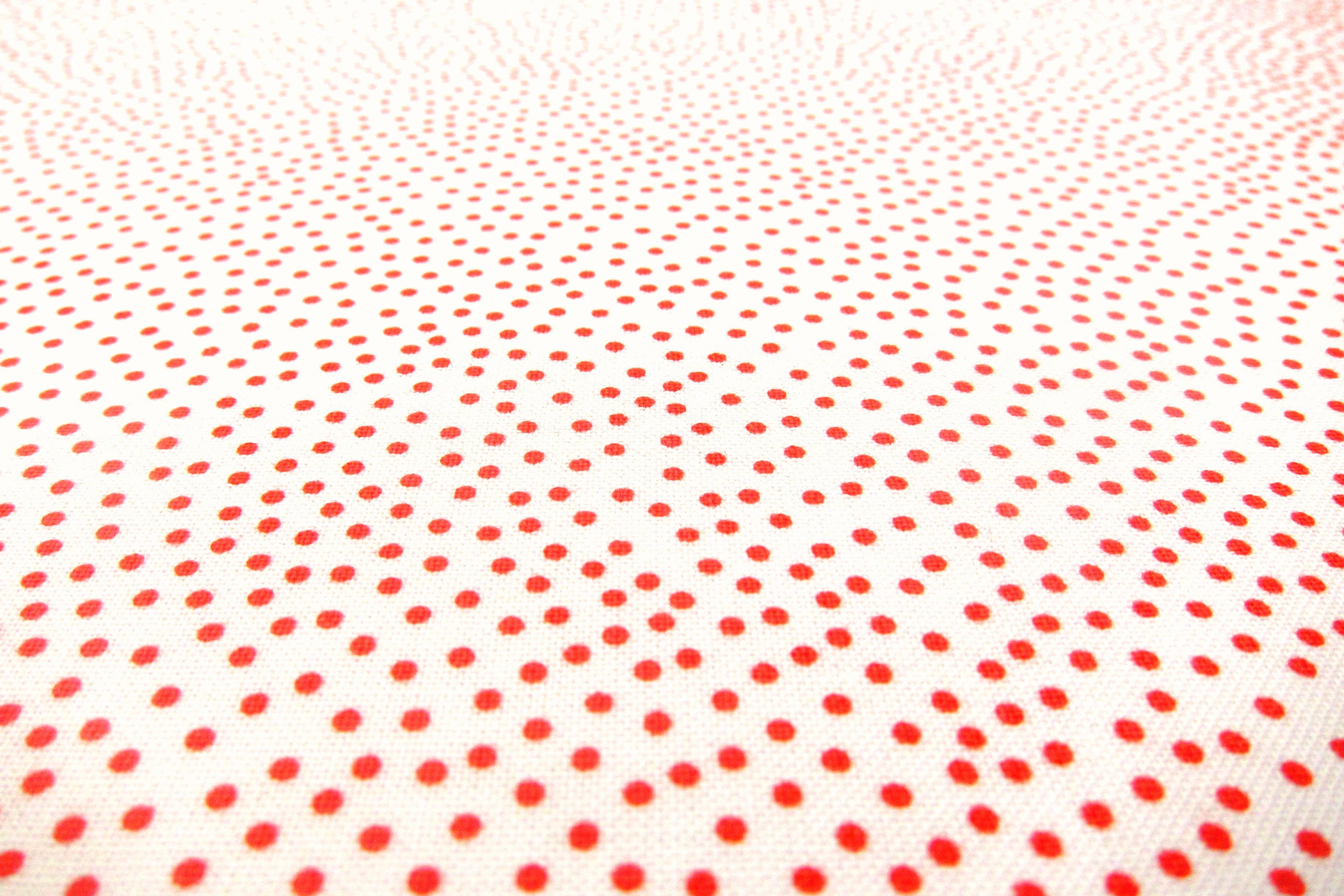 Cotton Broadcloth Print2