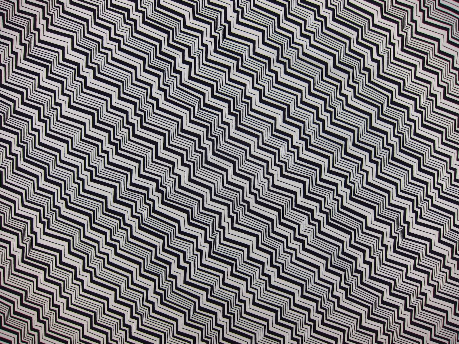 Cotton Broadcloth Print0