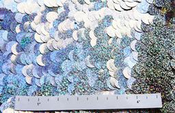 Paillettes on Silk Chiffon2