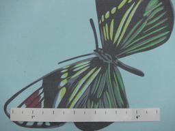 Printed Silk Chiffon0