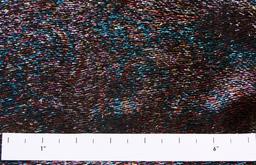 Silk Lurex Panné Velvet1