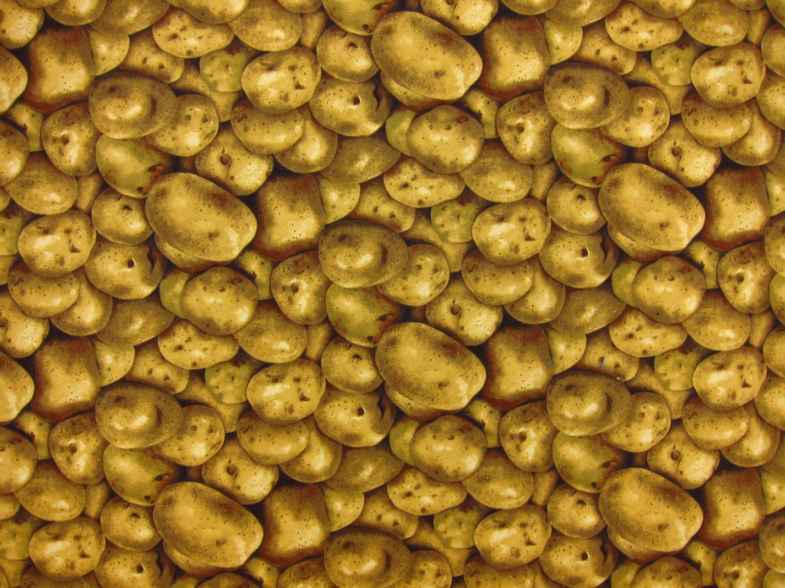 Cotton Broadcloth Print0