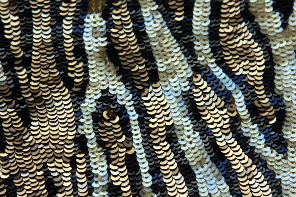 Sequins on Silk Chiffon0