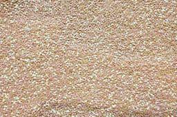 Sequins on Silk Chiffon0